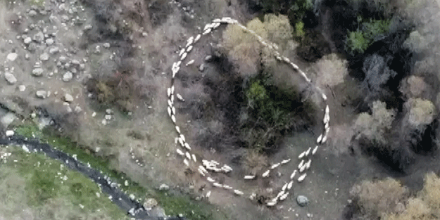 Çin'den sonra Türkiye'de yaşandı! Dünya bu gizemli olayı konuşuyor