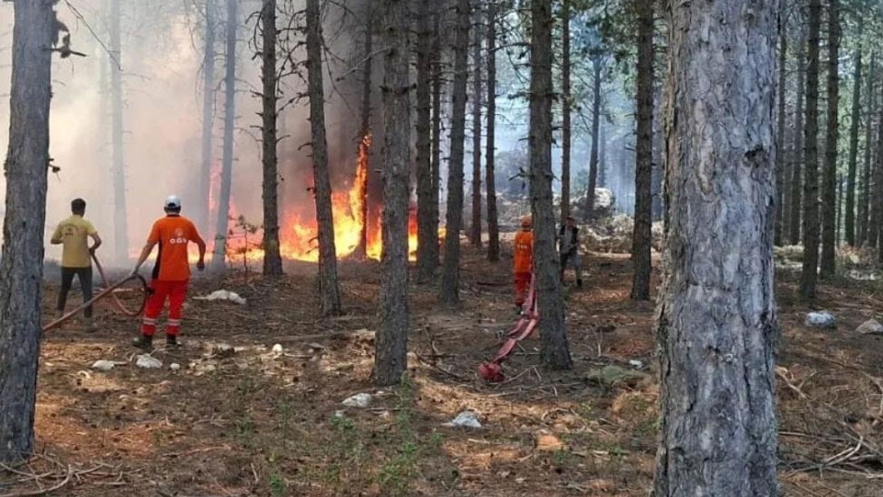 Çine’de korkutan orman yangını