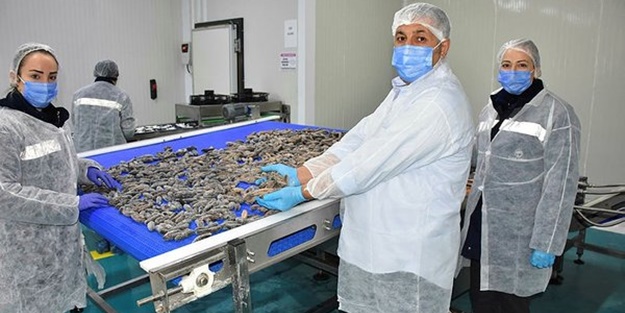 Çinliler ve Koreliler bunun peşinde! Türkiye'den ihraç ediliyor