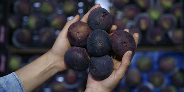 Çinlilerin kiraz ve siyah incire ilgisi artıyor