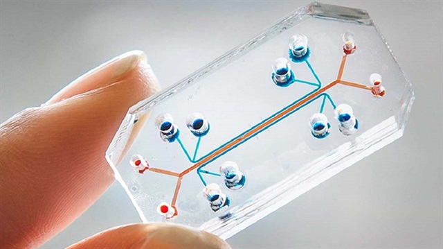 Çip organlar bilimde çığır açacak