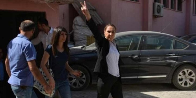 HDP'li başkan güvenlik güçlerine saldırdı