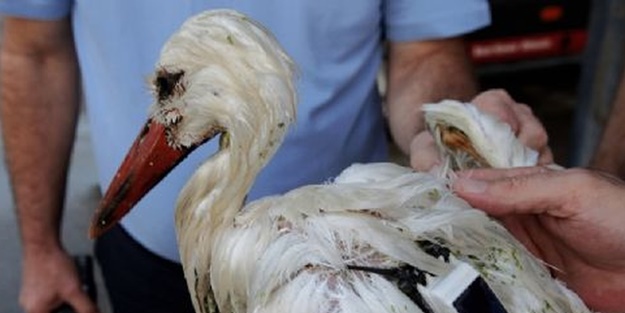 Mersin’de vuruldu!