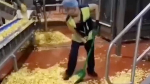 Cips fabrikasıyla ilgili o gerçek! Bu görüntüler herkesi ayağa kaldırdı