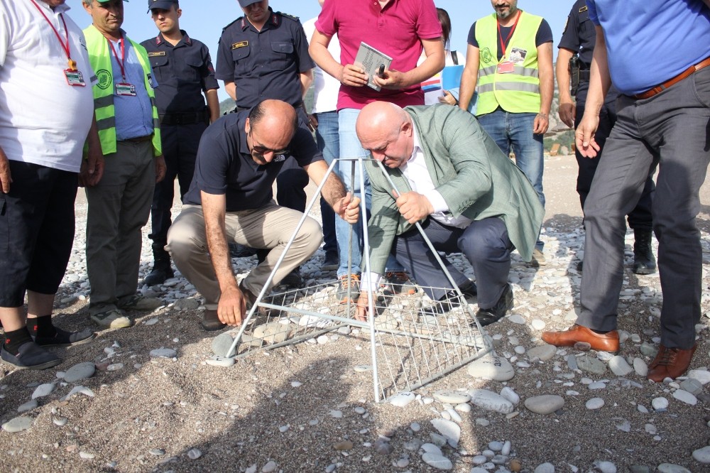 Çıralı’da ilk Caretta Caretta yuvası törenle numaralandırıldı 
