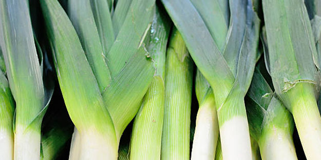 Çiriş otunun faydaları nelerdir? Bu ot kalp sağlığına iyi geliyor