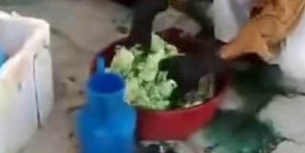 Civcivleri böyle boyadılar!