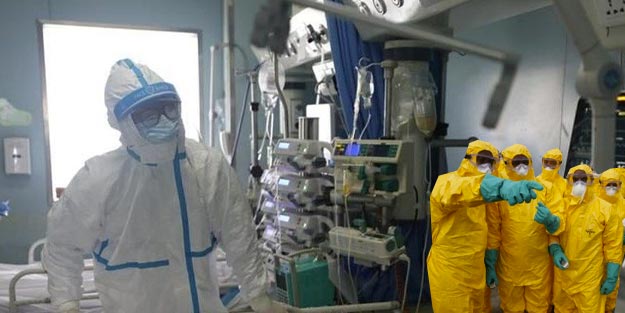 Çivi proteini nedir?