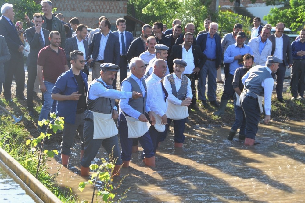 Çizmeleri giyen protokol çeltik ekti 
