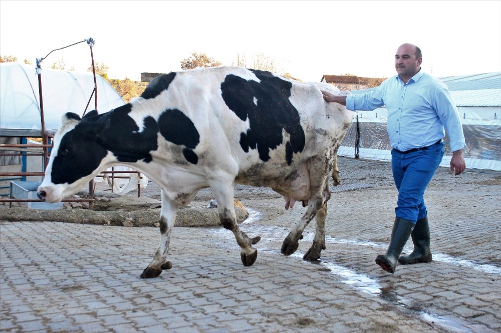 Çizmeyi giyip hayvancılık, takım elbiseyi giyip başkanlık yapıyor 
