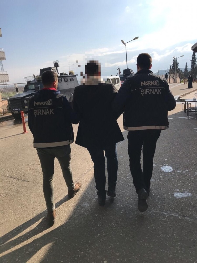 Cizre’de torbacılık yapan bir kişi tutuklandı 
