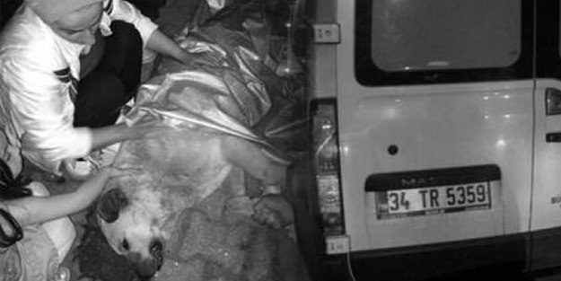 CNN Türk'ten bir skandal daha