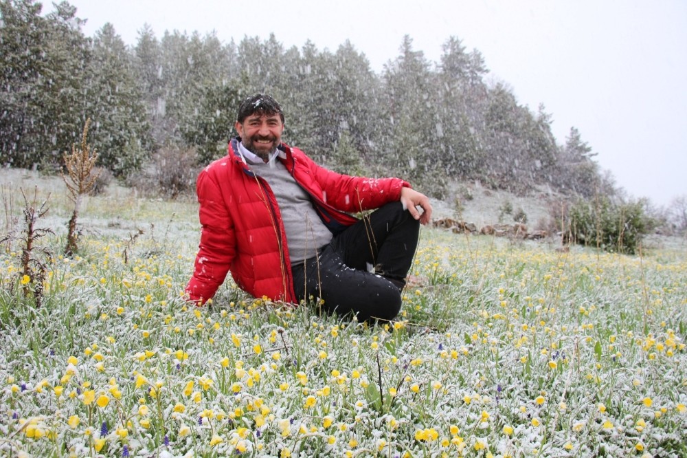 Çoban çiçekleri kar altında kaldı 