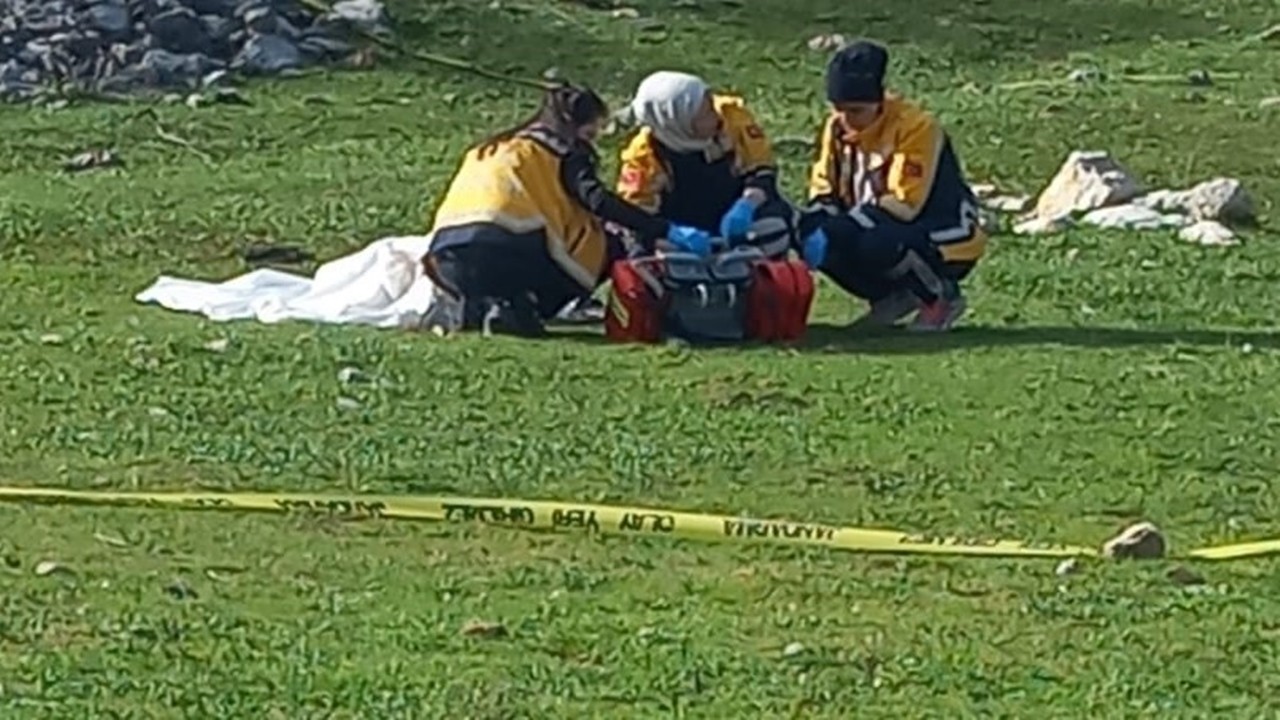 Çoban köpeklerinin saldırdığı kadının davasında karar çıktı