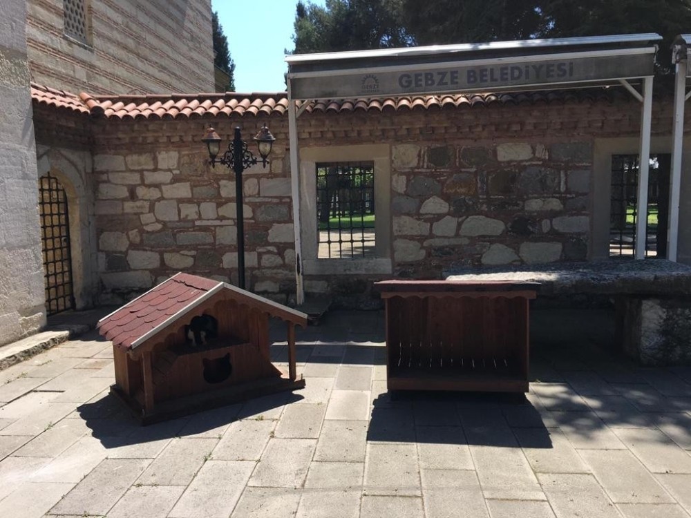 Çoban Mustafa Paşa Camii bahçesindeki yuvalar yenilendi 