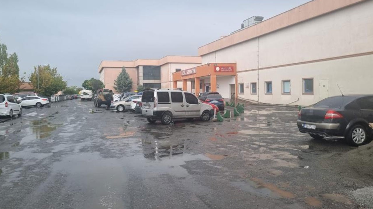 Çobanın feci ölümü