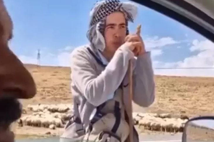 Çobanın maaşını duyunca şaşırıp kaldılar!