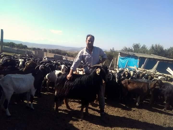 Çobanların dünyasını bir çoban yazdı 