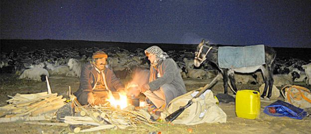 Çobanların rüyası gerçek oldu