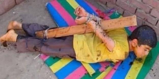 Çocuğa akıl almaz işkence! Tahtaya bağlayıp üzerine bal döktü ve...