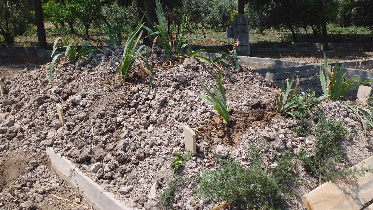Çocuğunun gözleri önünde öldürülen anne toprağa verildi