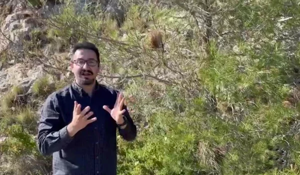 Çocuğunuzu bu ağaca yaklaştırmayın! Her parkta var, solunumu bile durduruyor