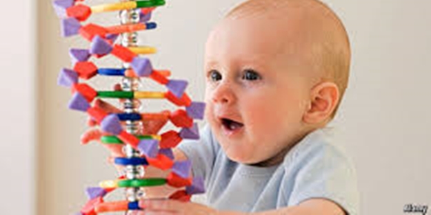 Zeka gelişimi için bunlara dikkat edin!