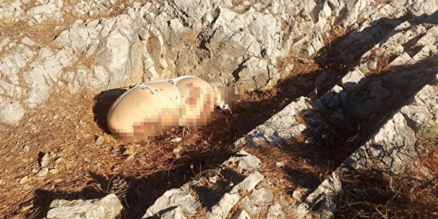 Çocuk cesedi sanılmıştı! Kanlı paketten vahşet çıktı