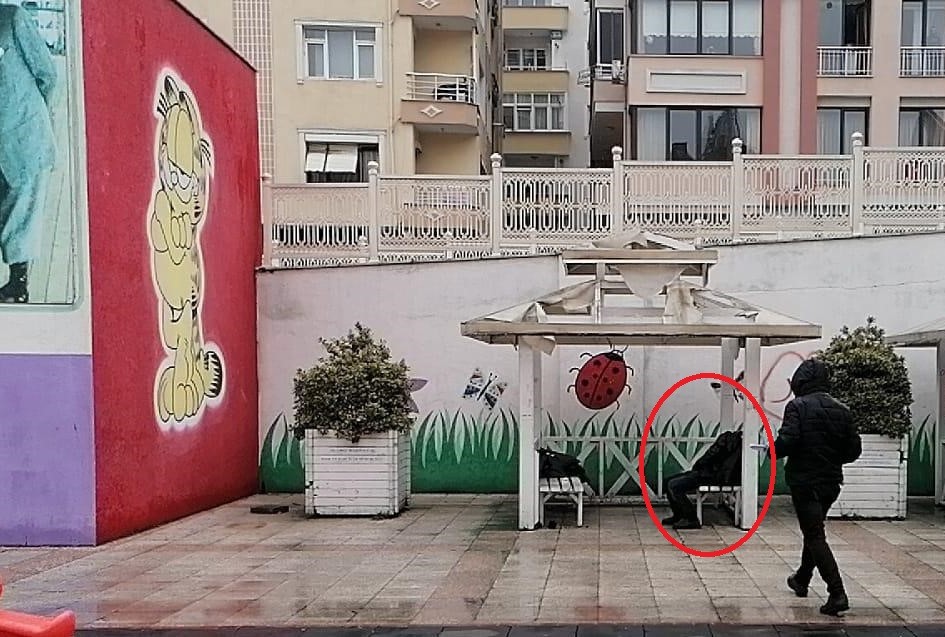 Çocuk parkındaki kamelyada ölü bulundu 