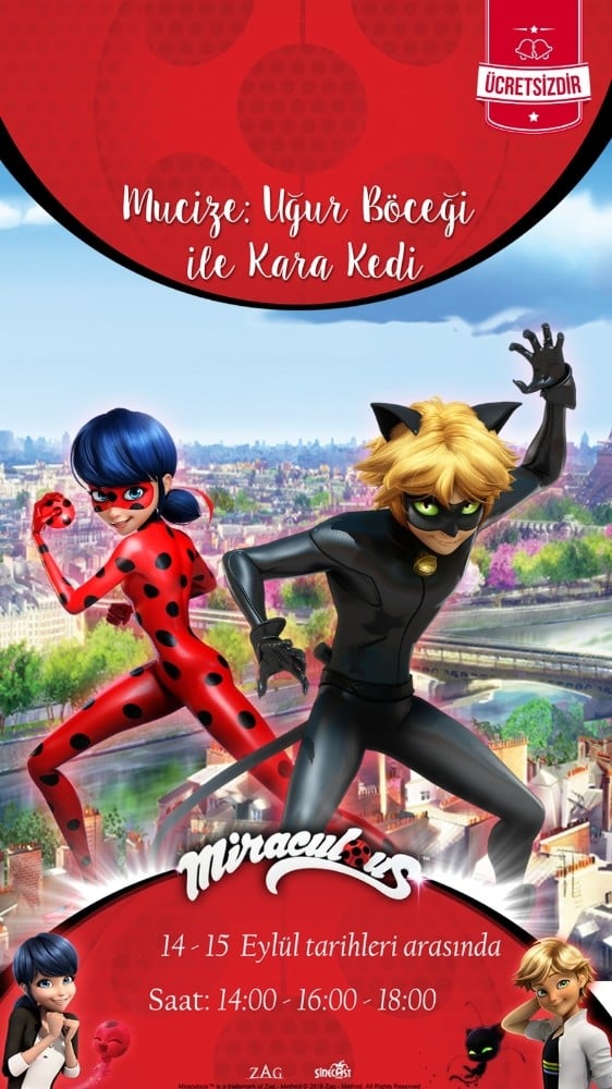 Çocuklar bu böcekle kediyi çok sevdi 