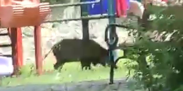 Çocuklar burada nasıl oynasın? Park değil sanki domuz çiftliği