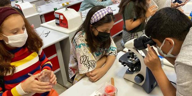 Çocuklar çileğin DNA’sını çıkardılar