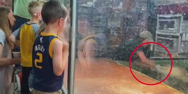 Timsah aniden saldırdı! Çocuklar dehşeti yaşadı