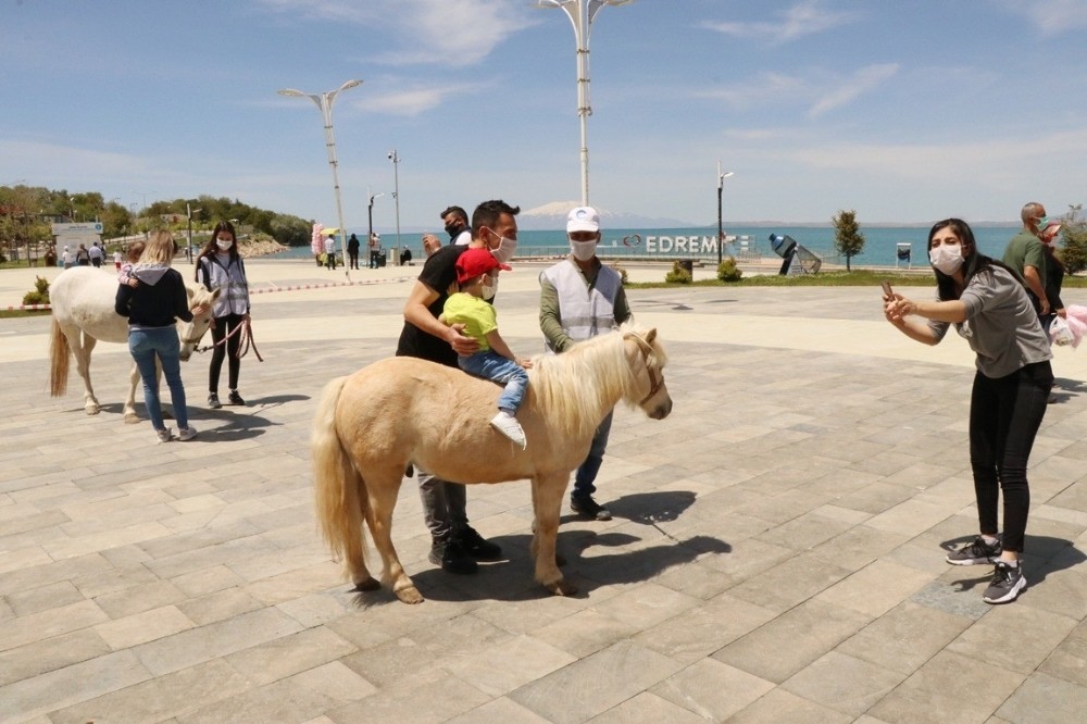 Çocuklar kısıtlama sonrası Pony ve Midilli atlarıyla buluştu 