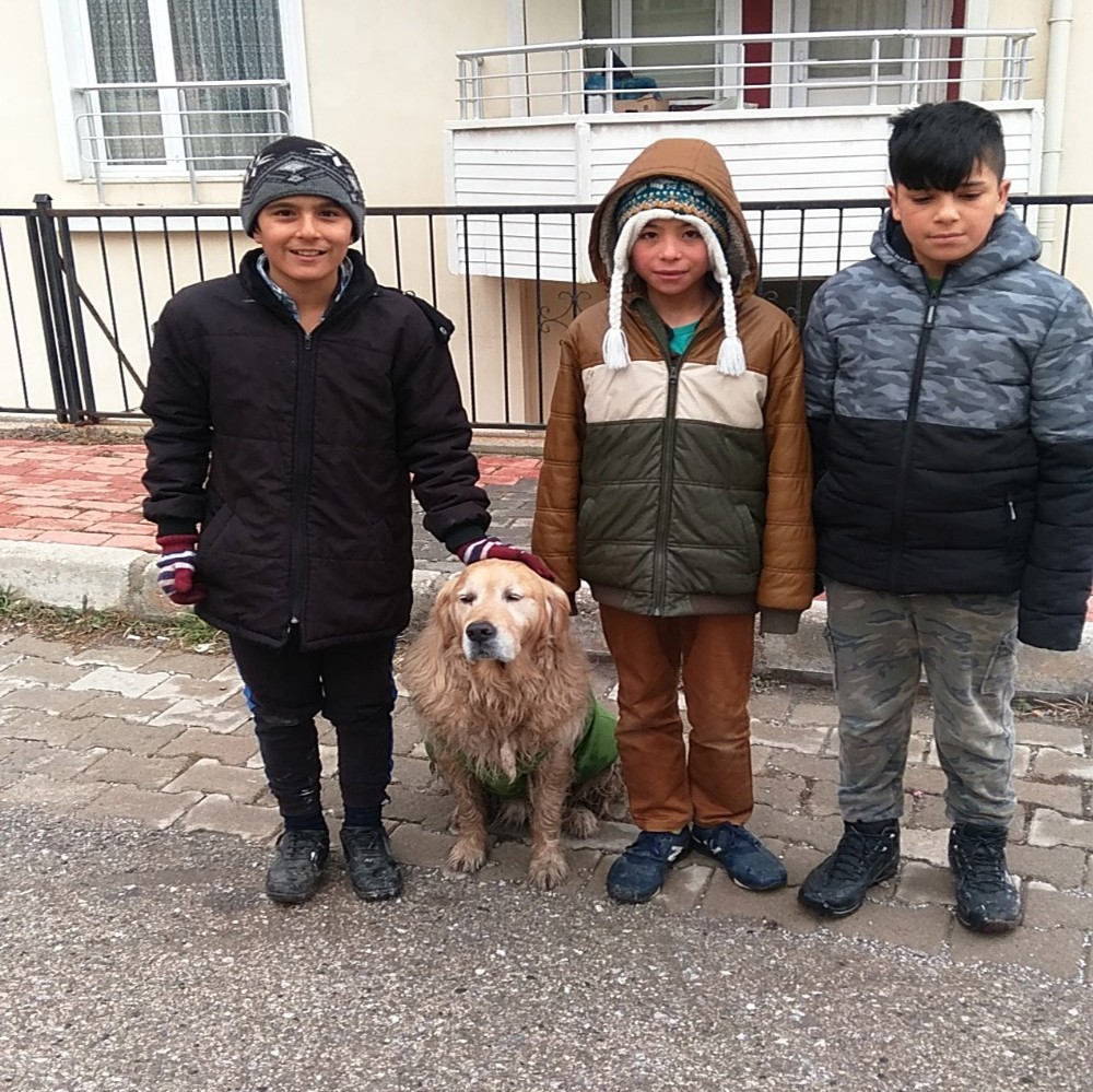 Çocuklar sokak köpeğine üşümesin diye tişört giydirdi 
