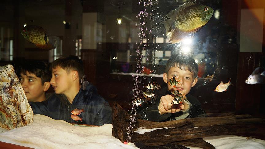 Çocukları camiye çekmek için akvaryum yaptırdı