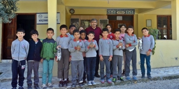Bu imam başka imam