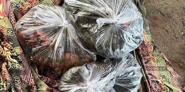 Çocukların ceset parçaları poşetlere konuldu