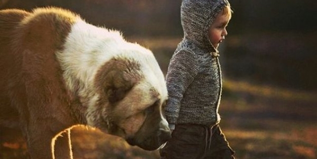 Çocukların hayvan sevgisi