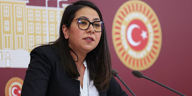 Çocukların parçalanması umrunda değil! TİP'li Sera Kadıgil'den hadsiz 'başıboş köpek' mesajı