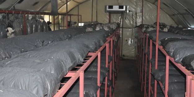 Çocuklarını dinledi, hayatı değişti! Taleplere yetişemiyor