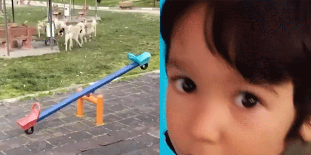 Çocuklu annenin parkta başına gelenler tam ibretlik