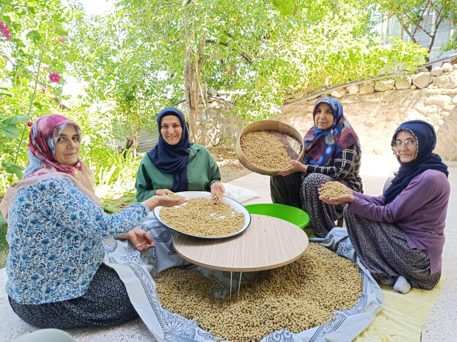 Coğrafi işaretli Ulukale dutu Tunceli'nin köyünden dünyaya açılıyor