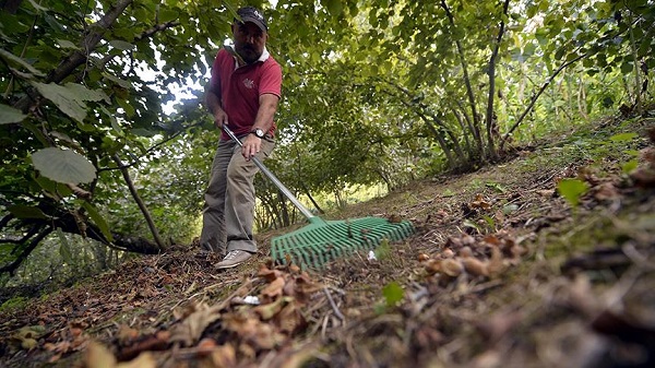 Coğrafya sağlık sorunlarını belirliyor! Bu bölgede yaşayanların derdi aynı