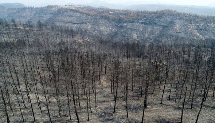 Çok acı... Manavgat'taki bilanço açıklandı