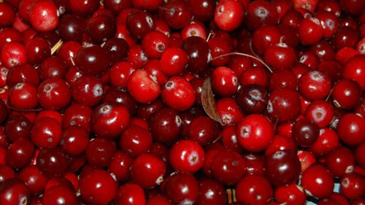 Çok eski ve faydalı bir meyve! Pel çok cilt hastalığına iyi geliyor