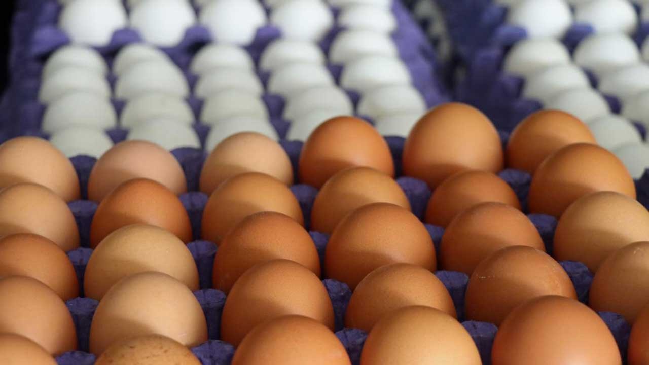 Çok kötü haber! Bir ülke daha Türkiye'den yumurta alımını durdurdu