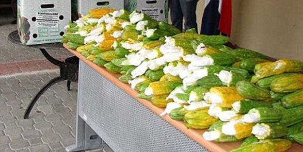 Kaçakçılar sınır tanımıyor!