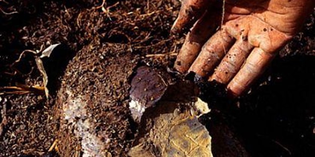 Kuru toprağın içinden öyle bir şey çıkardı ki!