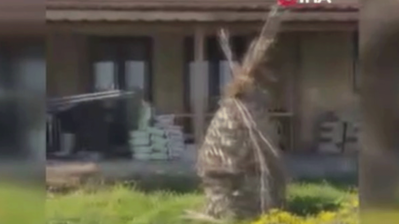 Çok sayıda eksiklik tespit edildi! 36 tanesi daha kapatıldı!